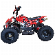 Top Selling Kids ATV with Powerful 49cc Two Stroke Engine