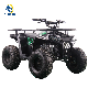 Runpro Automatic 125cc with Reverse Gasoline 8-Inch Tire 4 Wheel ATV