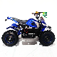  Three Brand Electric Mini Motor Adult 800W 36V Hot Sale ATV for Sale