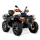 2023 New Buggy Adult ATV 4X4 Quad Bike 300cc ATV