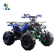  125cc Quad Bike 125cc ATV Four Wheels Motorcycle Outdoor Recreation 8′′ Tire for Adult
