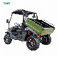  4 Wheels Off Road Buggy 2 Seater Gas Farm UTV for Adults
