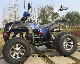 Dune Buggy 150cc 250cc ATV Quad for off Road with CE