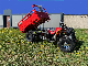  300cc 4X4 Big Power Farm ATV with 12inch Wheel in Red, Black Orange Color