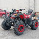 2023 New Design 250cc Big Sport ATV Quad, 200cc Gy6 ATV Buggy manufacturer
