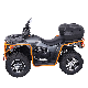 Extreme Terrain ATV with Large Engine Capacity manufacturer