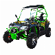 Manufacturer 250cc Street Legal Automatic UTV with EPA manufacturer