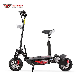 2 Wheel Folding 1200W 1600W Electric Scooter E Scooter