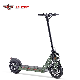  500W 36V 48V off Road 2 Wheel Electric Scooter