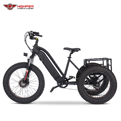 48V 750W Brushless Motor LCD Display 20" Electric 3 Wheelers Bike Tricycle