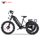 48V 750W Brushless Motor LCD Display 20" Electric 3 Wheelers Bike Tricycle