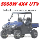 China New Adults 2seats Electric UTV with Ce (MC-182) manufacturer