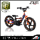  Children Electric Cross Bike/ Motorbike/ Electric Balance Bike/Push Bike/ Apollo Electric Bike Mini Bike