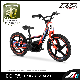  China Apollo Rxf Electric Balance Bike 250W Kids Electric Cross Bike