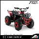 Mini Commander 110cc ATV, Semi-Automatic, Electric Start, Quad, Four Wheels ATV, Hot Sales