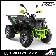  T3b Commander 180cc ATV, CVT Engine, 10 Inch Wheel, LCD Speedmeter Ktm ATV Electric ATV Quad Chinese ATV ATV for Kids EEC ATV Quad Bike King Quad ATV Sports ATV