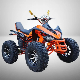 High-Performance Quad Bike ATV for Adventurous Adults manufacturer