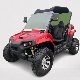 High Quality 200cc Buggy off-Road Go Kart Factory Direct Wholesale UTV with CE