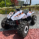 Mini Kids Quad Bike ATV with CE 4 Stroke manufacturer