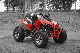 off Road High Configuration Beach ATV Quad with Shockproof Frame manufacturer