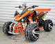  New Type Quad 4X4wd Adult Sports Motor ATV, 300cc