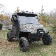  Cheap Odes 2 Seaters 800cc 1000cc UTV 4X4 Utility Vehicle for Farm