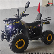  China Best Price Dune Buggy 110cc 125cc Big Kids ATV for Raymon