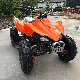 Factory Direct Selling Good Quality 49cc 50cc Mini Kids Quad ATV