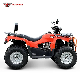  Gas Powered Quad Bike Kids