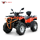  300cc Gasoline Powered Adult Quad Bike 4 Wheelers ATV