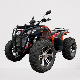 4X4 300cc Independent Suspension ATV Cuatrimoto Quad Bikes 300cc ATV