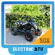 500 W Cheap ATV Electric with High Quality