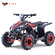 New 1000W36V Electric Kids Mini ATV Quad Bike