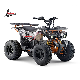 2020 New Published Electric ATV Quad China Supplier