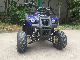  110cc 125cc Quad ATV for Adult with CE Approved