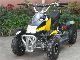 800W Motor Mini Electric ATV Quads (ET-EATV024)