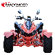 Quad Bike 200cc 250cc 300cc 400cc 4X4 EEC ATV Wholesalse