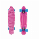 Crusier Plastic Skateboard with 22 Inch Size and PU Wheel