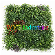 Anti UV Protected Fire Retardant Artificial Boxwood Plant Foliage Fence Faux IVY Leaf Hedge Privacy Vertical Garden Green Wall Panel