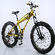 Factory Supply Wholsesale 26 Inch 21 Speed Mountain Bike Fat Tire Bicycle