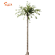 Factory Price Fiber Glass Artificial Coconut Tree Outdoor Customized Palm