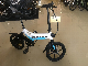  16inch Ebike 36V 5.2A 3 Speed Private Mould