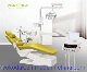 High Quality Multifunctional with LED Light Luxury Dental Chair