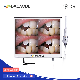 17inch Ultrathin Monitor 10 Megapixels High Definition Dental Digital Camera Viewer Intraoral Camera Oral Camera with Multimedia and Wi-Fi Camera