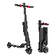  2 Wheels 250W Motor Portable Folding Electric Mobility Kick Scooter