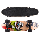  New Design Fashion Longboard Skateboard Ms-QC01