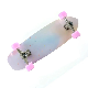  Best Selling Land Surf Board Skateboard