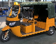 African Popular Passenger Taxi Rickshaw Tricycle Solar Power 1500W-3000W (DSL-5A)