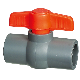  Era Best Quality Hot Made in China Era Plastic Valves Pn10 (F1970) NSF-Pw & Upc