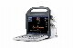 Veterinary Color Doppler Ultrasound Scanner for Pet Clinics